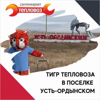 Тигр Тепловоза в Усть-Ордынском