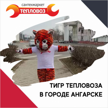 Тигр Тепловоза в Ангарске